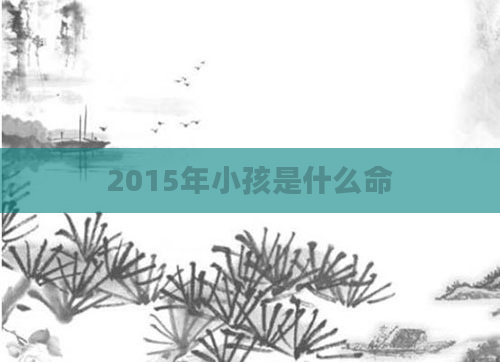 2015年小孩是什么命