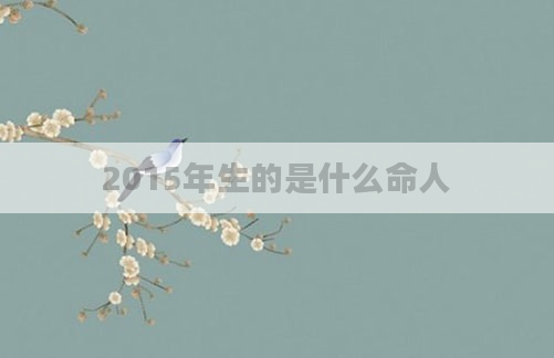 2015年生的是什么命人