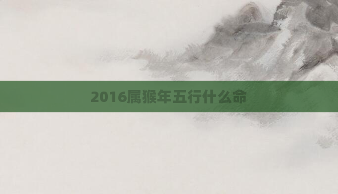 2016属猴年五行什么命