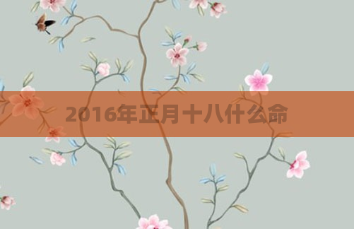 2016年正月十八什么命