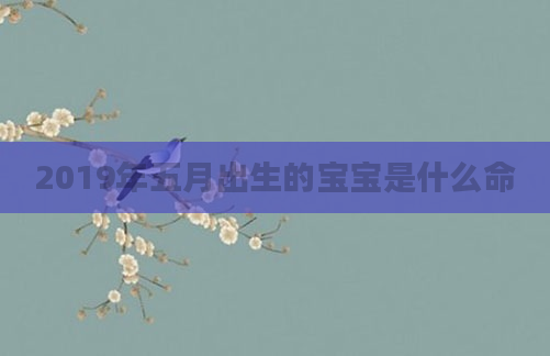 2019年五月出生的宝宝是什么命