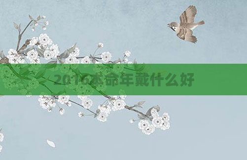 2016本命年戴什么好