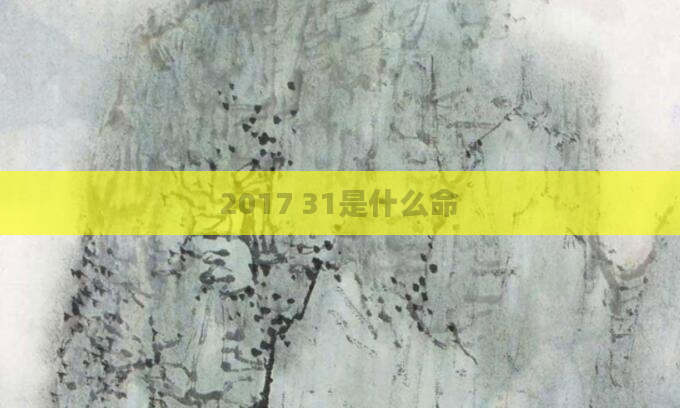 2017 31是什么命