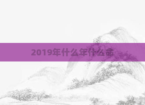 2019年什么年什么命