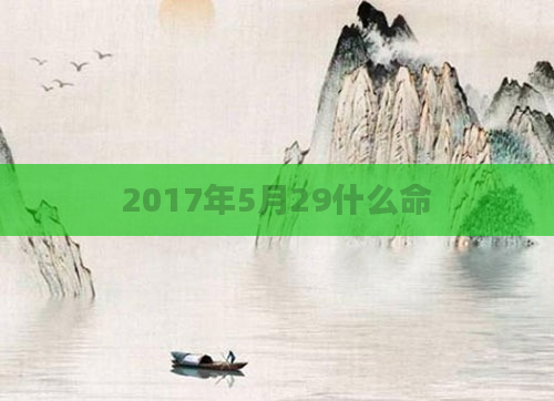2017年5月29什么命