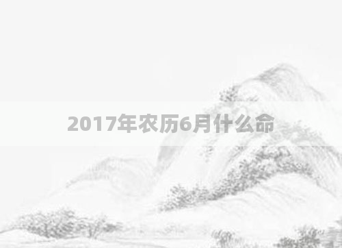 2017年农历6月什么命