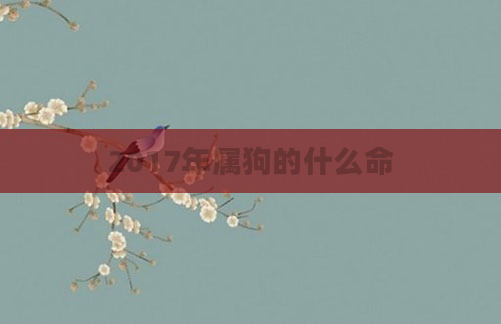 2017年属狗的什么命