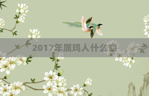 2017年属鸡人什么命