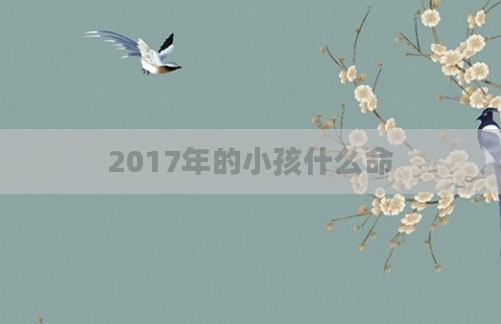 2017年的小孩什么命