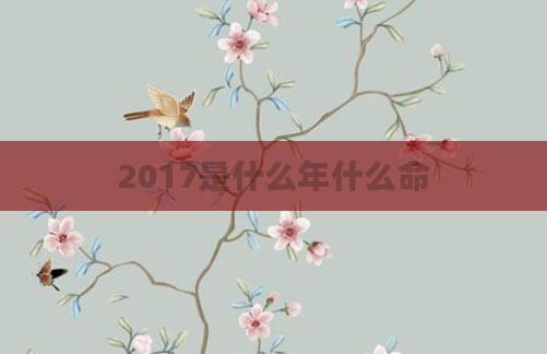 2017是什么年什么命