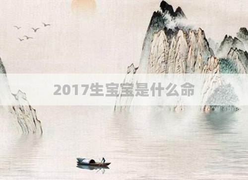 2017生宝宝是什么命