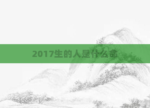 2017生的人是什么命