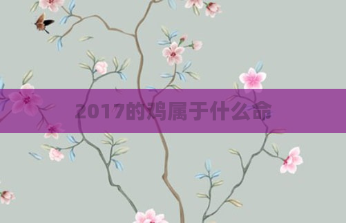 2017的鸡属于什么命