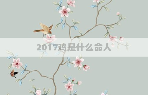 2017鸡是什么命人