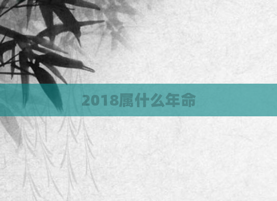 2018属什么年命
