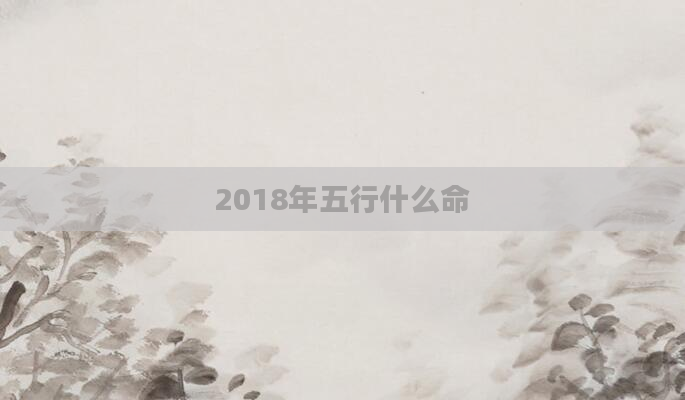 2018年五行什么命