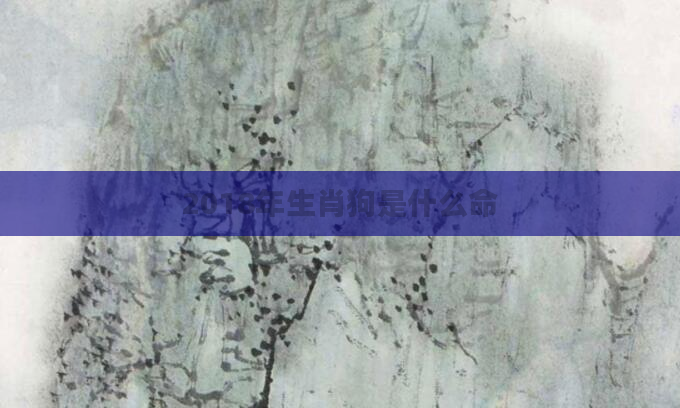 2018年生肖狗是什么命