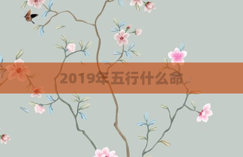 2019年五行什么命