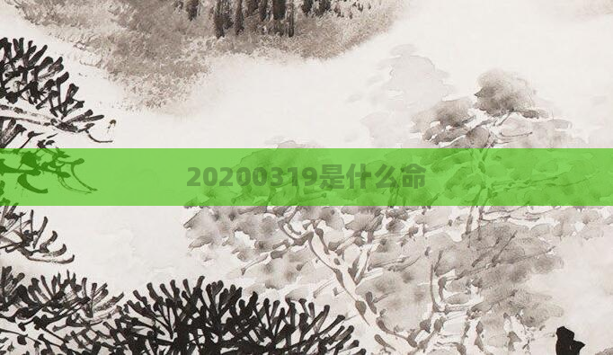 20200319是什么命