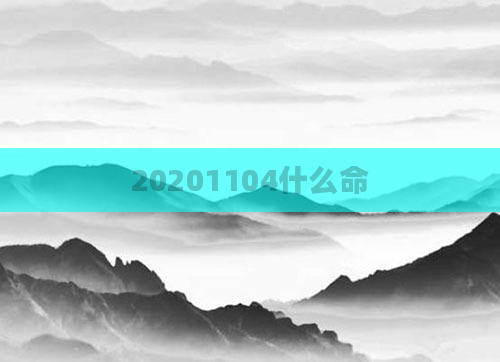 20201104什么命