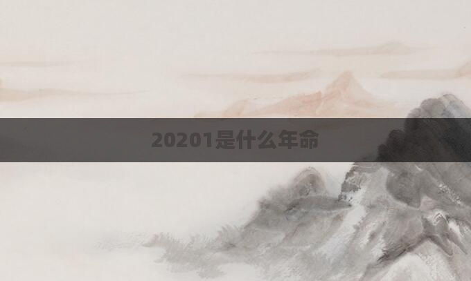 20201是什么年命