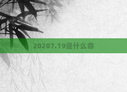 20207.19是什么命