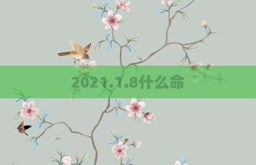 2021.1.8什么命