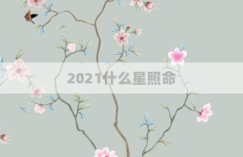 2021什么星照命