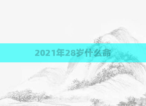 2021年28岁什么命