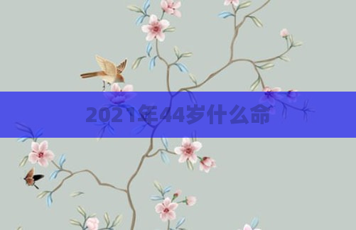 2021年44岁什么命