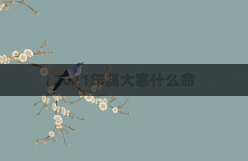 2021年属大寒什么命