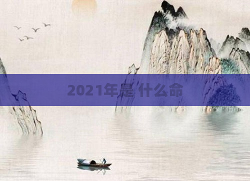 2021年是 什么命