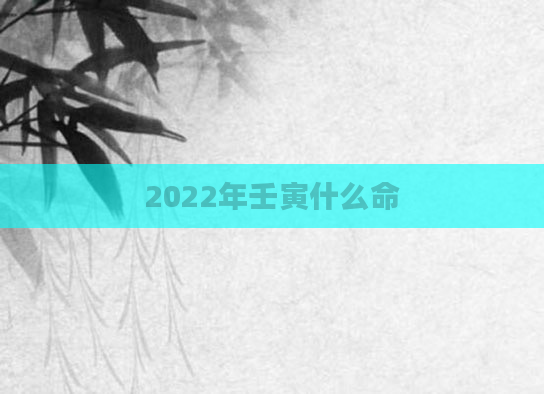 2022年壬寅什么命