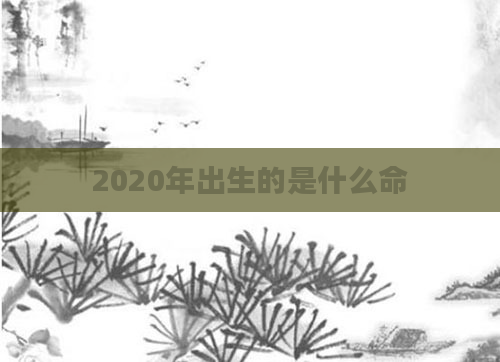 2020年出生的是什么命