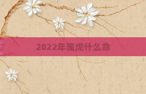 2022年属虎什么命