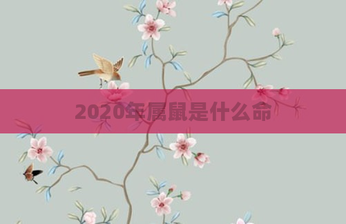 2020年属鼠是什么命