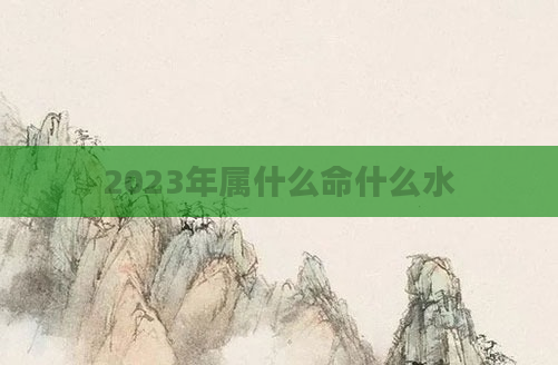 2023年属什么命什么水
