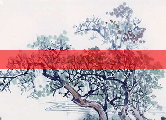 2023年属是什么命