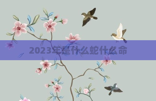 2023年是什么蛇什么命