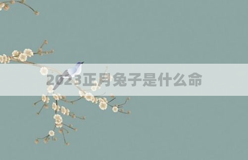 2023正月兔子是什么命