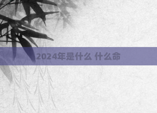 2024年是什么 什么命