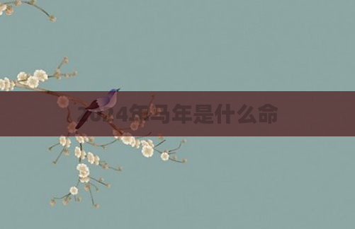 2024年马年是什么命