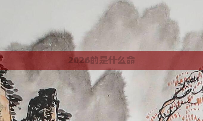 2026的是什么命