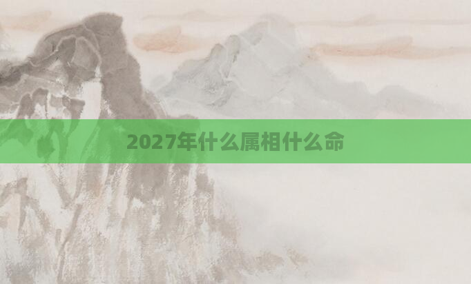 2027年什么属相什么命