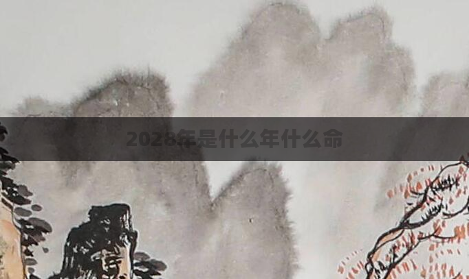 2028年是什么年什么命