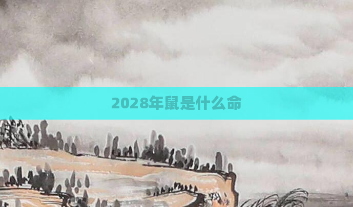 2028年鼠是什么命
