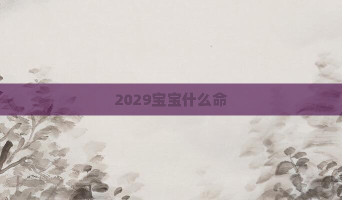 2029宝宝什么命