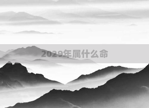 2029年属什么命