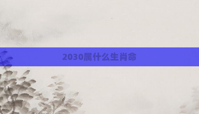 2030属什么生肖命