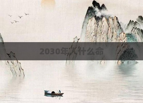 2030年人什么命